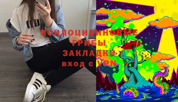 PSILOCYBIN Верея