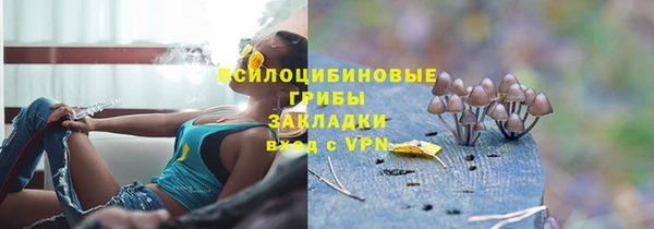 меф Бородино