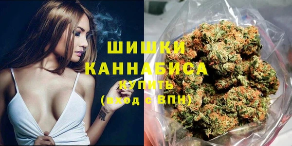 PSILOCYBIN Верея