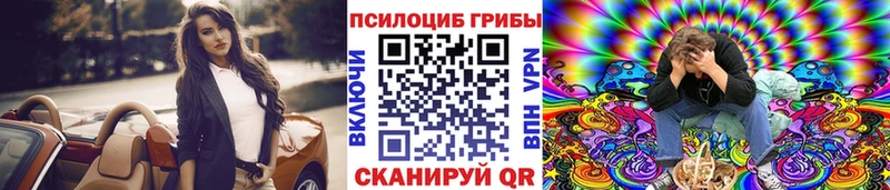 Псилоцибиновые грибы Psilocybine cubensis  Красноярск 