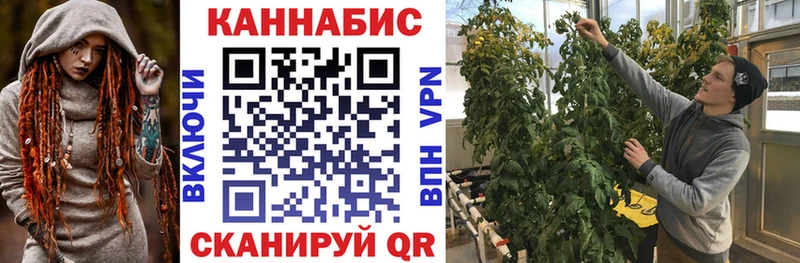 Бошки марихуана Bruce Banner  omg сайт  Красноярск 